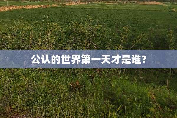 公认的世界第一天才是谁？