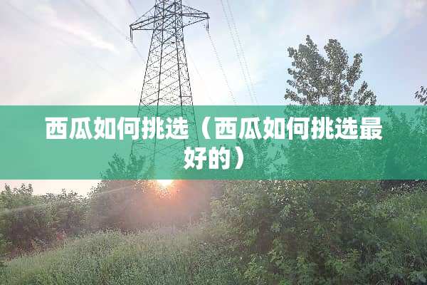 西瓜如何挑选（西瓜如何挑选最好的）
