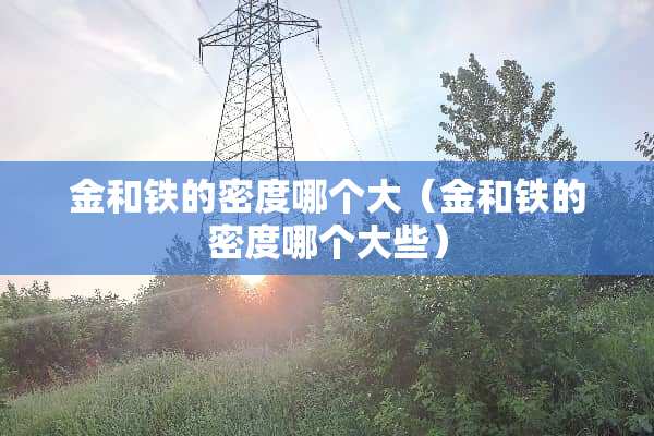 金和铁的密度哪个大（金和铁的密度哪个大些）