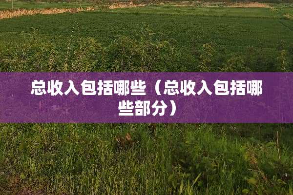 总收入包括哪些（总收入包括哪些部分）