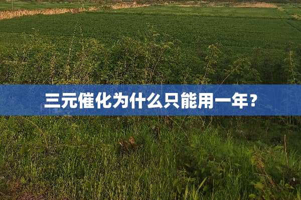三元催化为什么只能用一年？