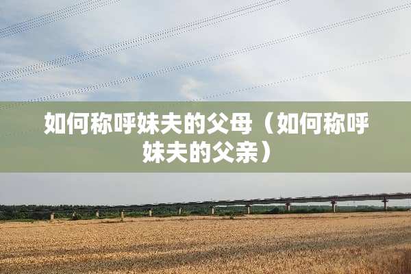 如何称呼妹夫的父母（如何称呼妹夫的父亲）