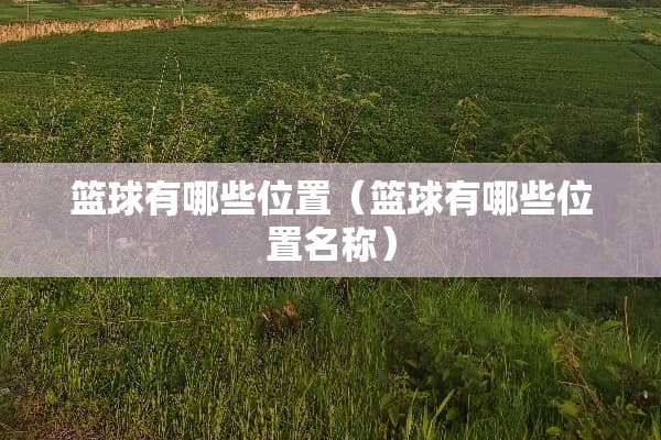 篮球有哪些位置（篮球有哪些位置名称）