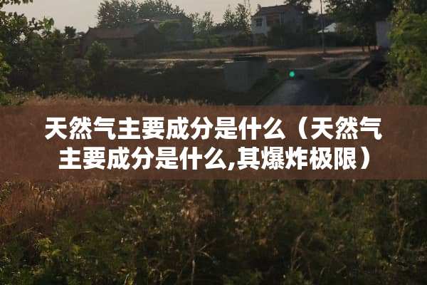 天然气主要成分是什么（天然气主要成分是什么,其**极限）