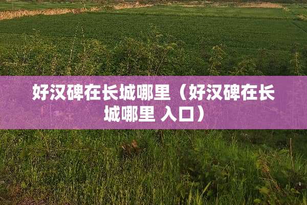 好汉碑在长城哪里（好汉碑在长城哪里 入口）