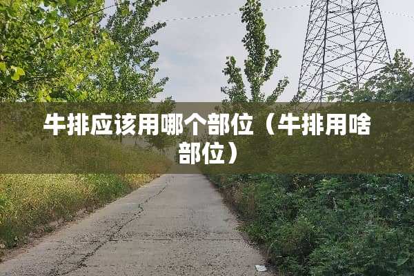 牛排应该用哪个部位（牛排用啥部位）