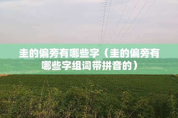 圭的偏旁有哪些字（圭的偏旁有哪些字组词带拼音的）