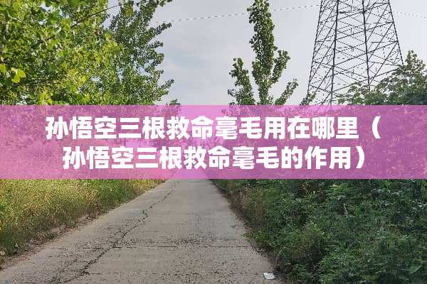 孙悟空三根救命毫毛用在哪里（孙悟空三根救命毫毛的作用）