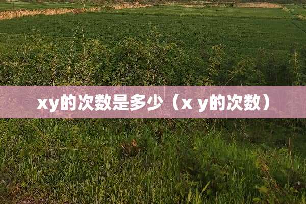 xy的次数是多少（x y的次数）