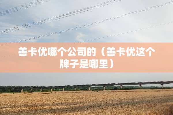 善卡优哪个公司的（善卡优这个牌子是哪里）