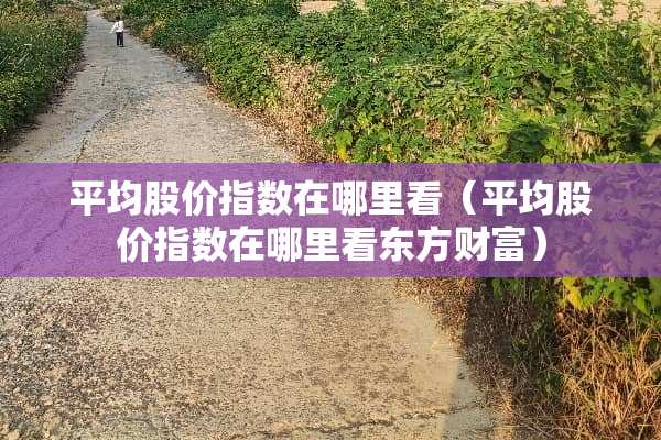平均股价指数在哪里看（平均股价指数在哪里看东方财富）