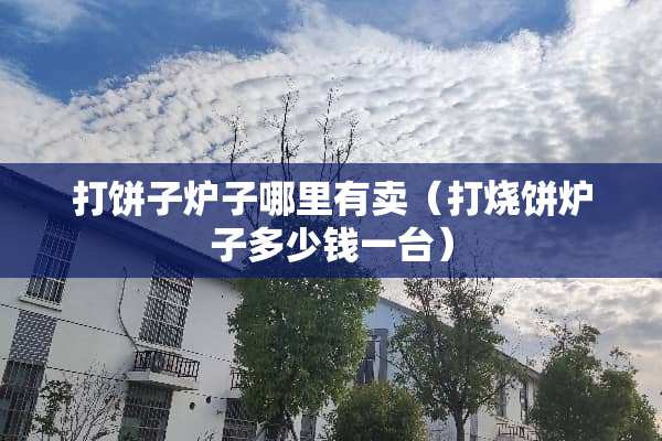 打饼子炉子哪里有卖（打烧饼炉子多少钱一台）