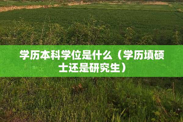 学历本科学位是什么（学历填硕士还是研究生）