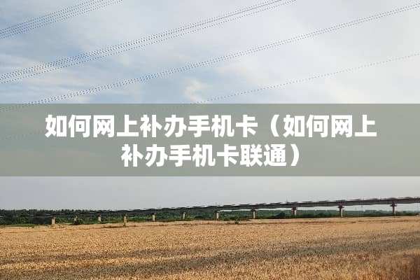 如何网上补办手机卡（如何网上补办手机卡联通）