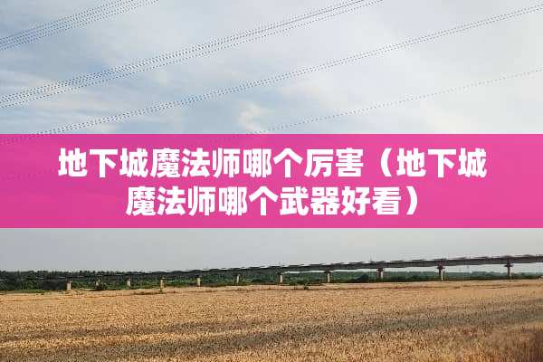 **城魔法师哪个厉害（**城魔法师哪个**好看）