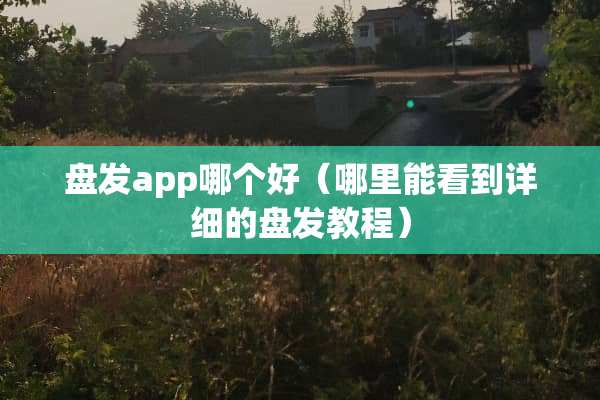 盘发app哪个好（哪里能看到详细的盘发教程）