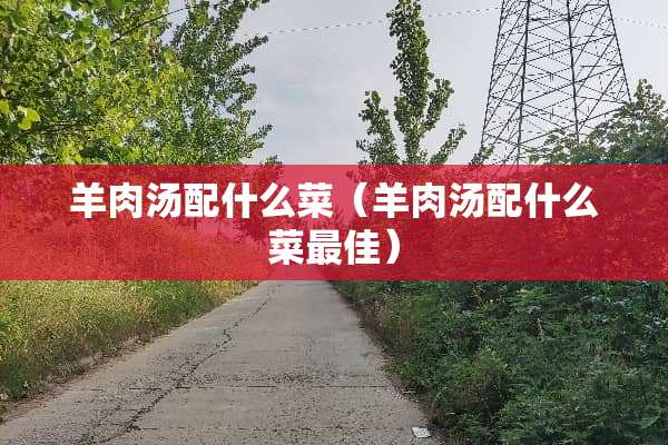 羊肉汤配什么菜（羊肉汤配什么菜最佳）