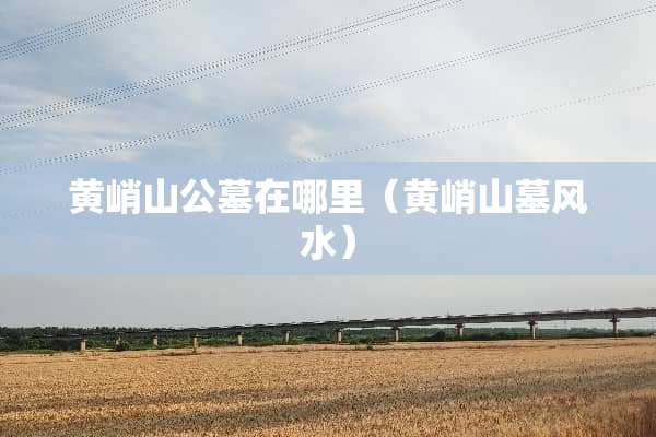 黄峭山公墓在哪里（黄峭山墓风水）