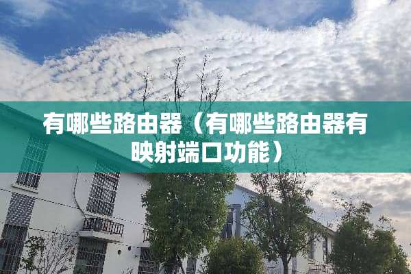 有哪些路由器（有哪些路由器有映射端口功能）