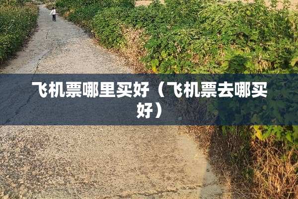 飞机票哪里买好（飞机票去哪买好）