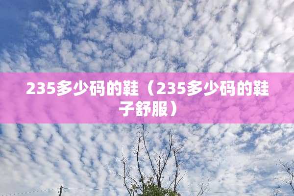 235多少码的鞋（235多少码的鞋子舒服）