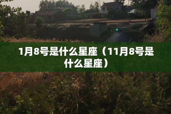 1月8号是什么星座（11月8号是什么星座）