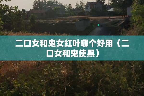 二口女和鬼女红叶哪个好用（二口女和鬼使黑）