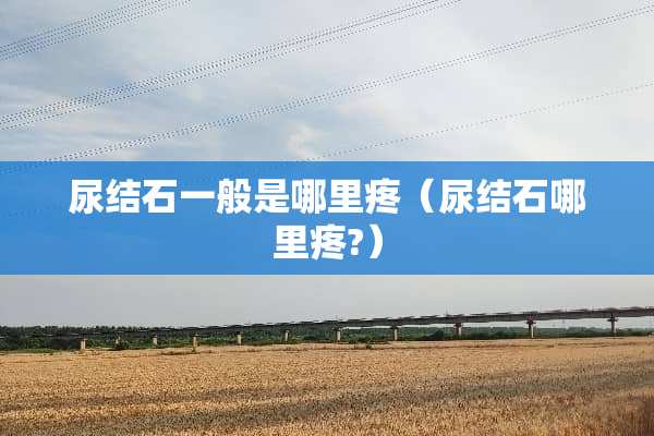 尿结石一般是哪里疼（尿结石哪里疼?）