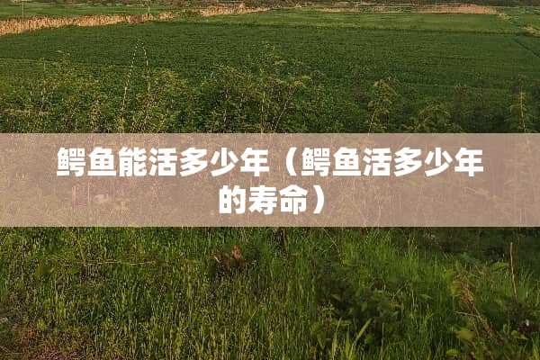 鳄鱼能活多少年（鳄鱼活多少年的寿命）