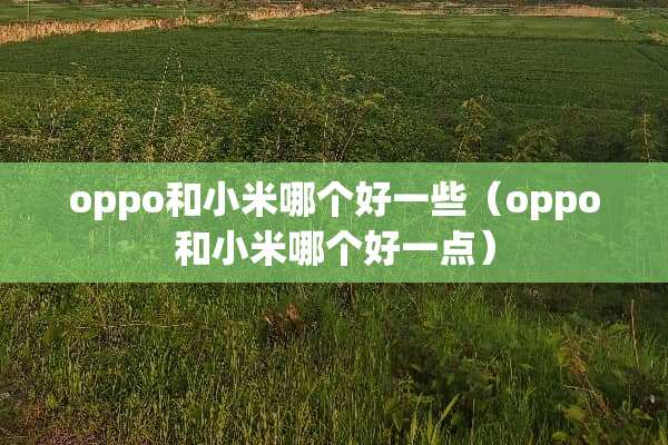 oppo和小米哪个好一些（oppo和小米哪个好一点）