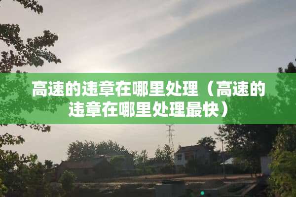 高速的违章在哪里处理（高速的违章在哪里处理最快）