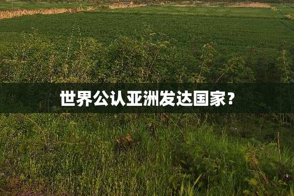 世界公认亚洲发达国家？