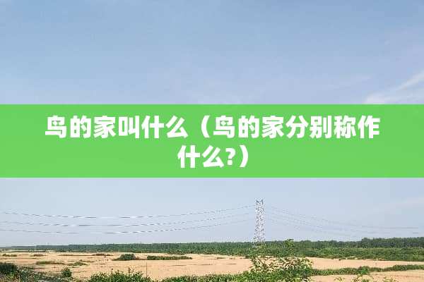 鸟的家叫什么（鸟的家分别称作什么?）