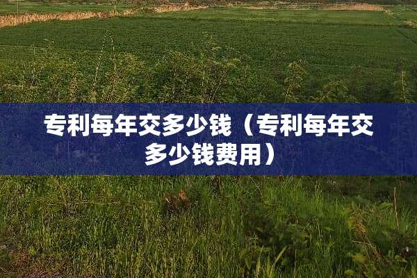 专利每年交多少钱（专利每年交多少钱费用）