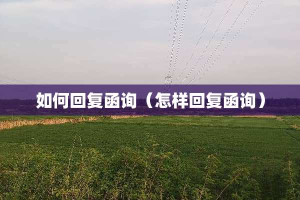如何回复函询（怎样回复函询）