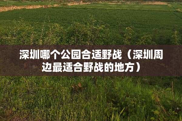 深圳哪个公园合适野战（深圳周边最适合野战的地方）