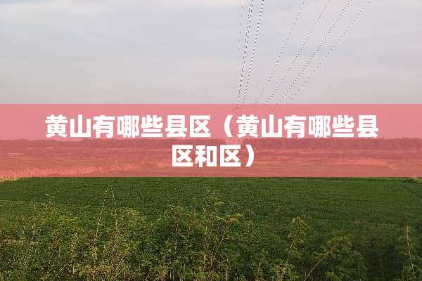 黄山有哪些县区（黄山有哪些县区和区）