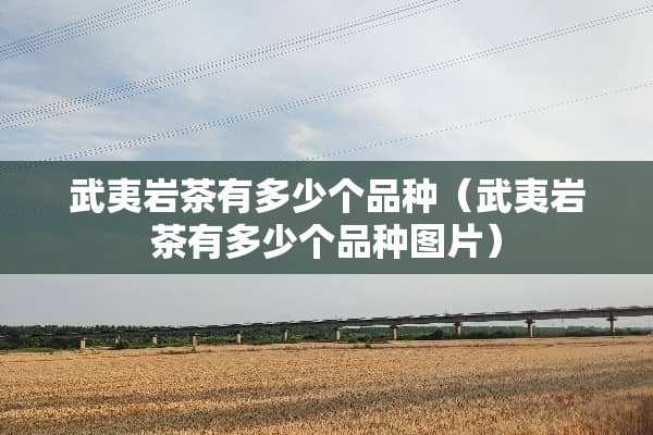 武夷岩茶有多少个品种（武夷岩茶有多少个品种图片）