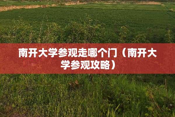 南开大学参观走哪个门（南开大学参观攻略）