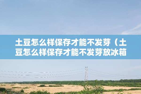 土豆怎么样保存才能不发芽（土豆怎么样保存才能不发芽放冰箱）