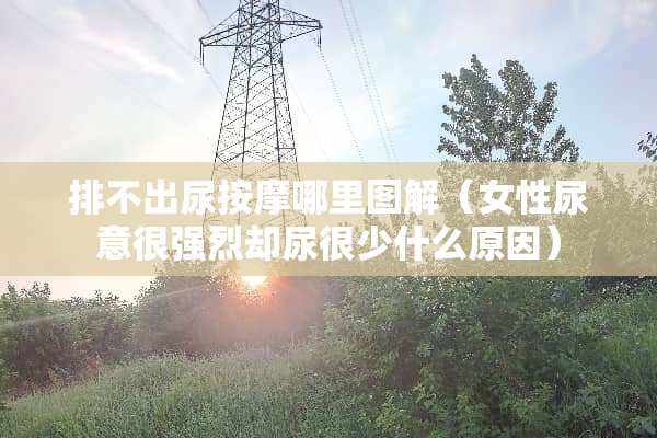 排不出尿按摩哪里图解（女性尿意很强烈却尿很少什么原因）