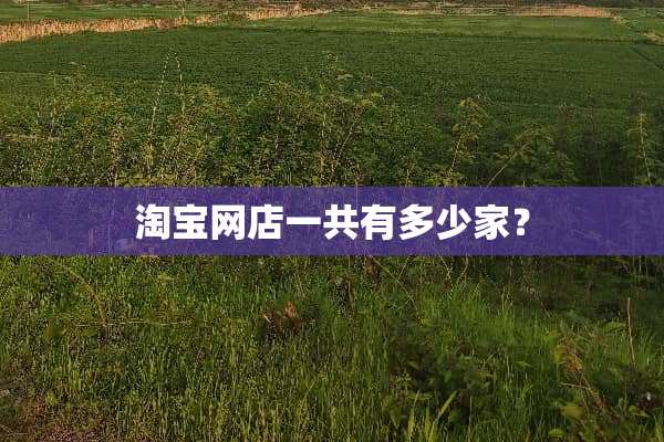 淘宝网店一共有多少家？