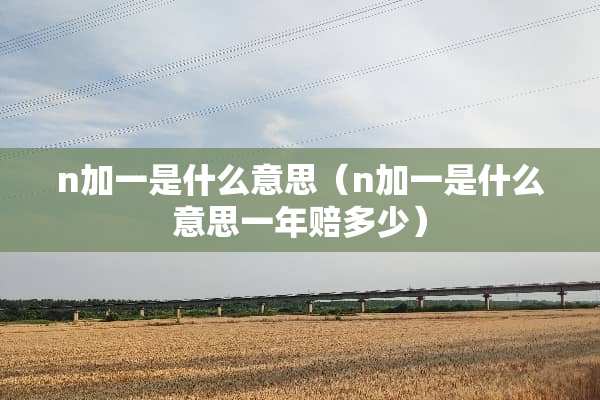n加一是什么意思（n加一是什么意思一年赔多少）
