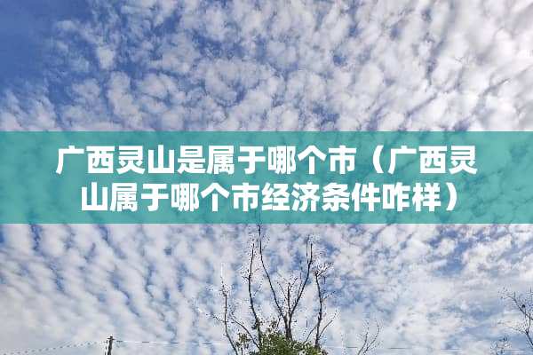 广西灵山是属于哪个市（广西灵山属于哪个市经济条件咋样）