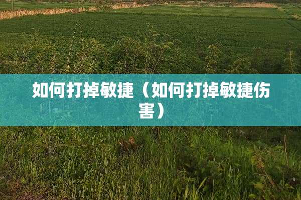 如何打掉敏捷（如何打掉敏捷伤害）