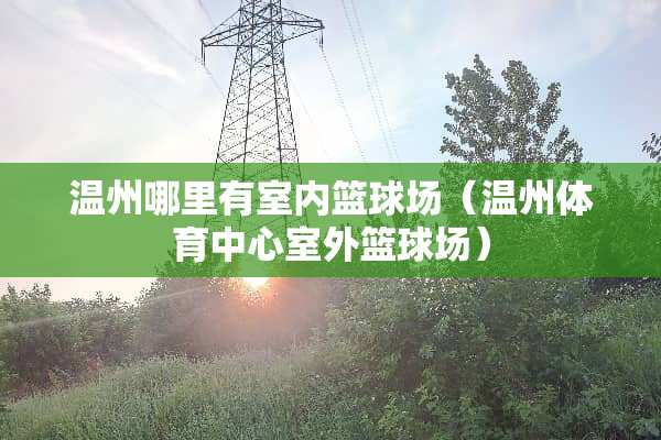 温州哪里有室内篮球场（温州体育中心室外篮球场）