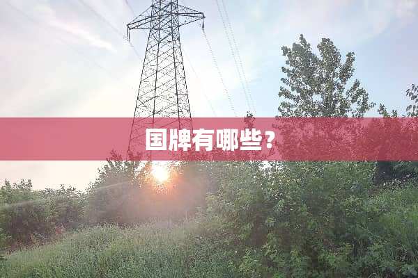 国牌有哪些？