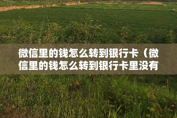 微信里的钱怎么转到***（微信里的钱怎么转到***里没有手续费）