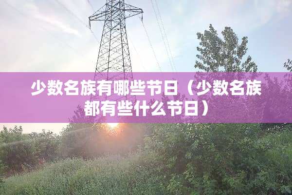 少数名族有哪些节日（少数名族都有些什么节日）