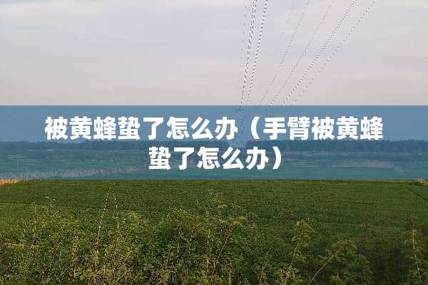 被黄蜂蛰了怎么办（手臂被黄蜂蛰了怎么办）